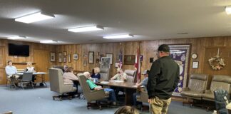 Fairview Council talks ball fields, park progress