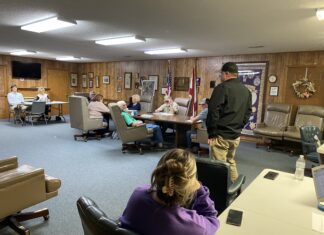 Fairview Council talks ball fields, park progress