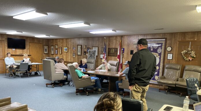 Fairview Council talks ball fields, park progress