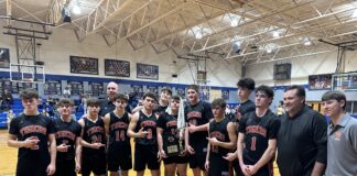 PREP BASKETBALL: Meek defeats Addison 55-43 to win area championship