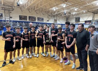 PREP BASKETBALL: Meek defeats Addison 55-43 to win area championship