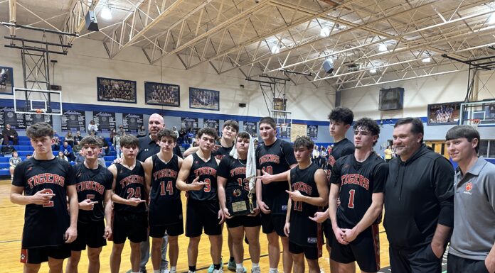 PREP BASKETBALL: Meek defeats Addison 55-43 to win area championship