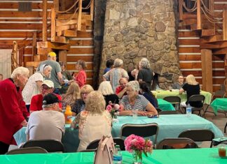 Next Vinemont senior lunch set for Feb. 17