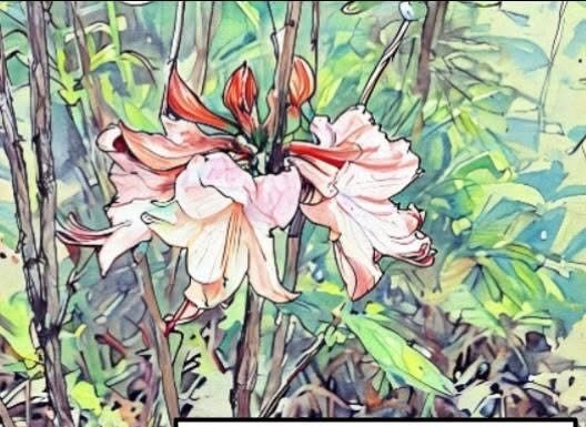 Native Azalea and Wildflower Sale coming March 22