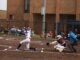 WSCC ATHLETICS: Lions sweep doubleheader with Northwest-Shoals