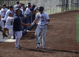 WSCC ATHLETICS: Lions split doubleheader with Northwest-Shoals