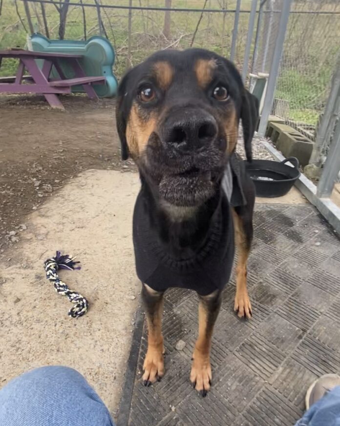 76CF3ED7-F542-43AD-94A1-96BF8985C771