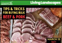 From farm to freezer: Blue Ridge Cattle Co. to provide expert advice on buying bulk beef and pork – March 13
