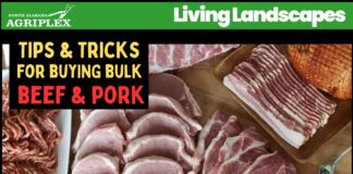 From farm to freezer: Blue Ridge Cattle Co. to provide expert advice on buying bulk beef and pork – March 13