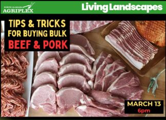 From farm to freezer: Blue Ridge Cattle Co. to provide expert advice on buying bulk beef and pork – March 13