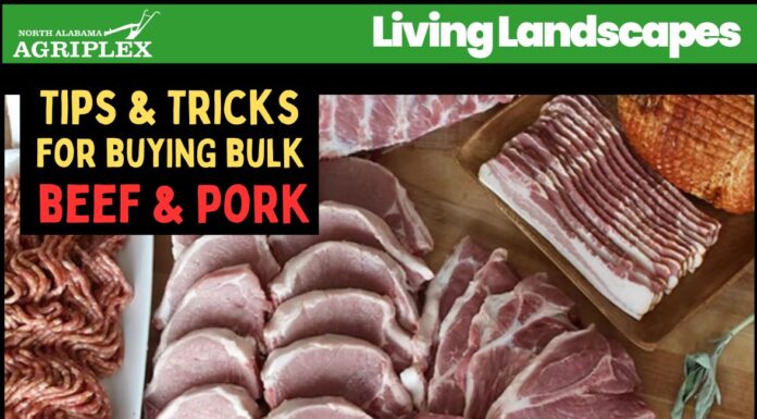 From farm to freezer: Blue Ridge Cattle Co. to provide expert advice on buying bulk beef and pork – March 13