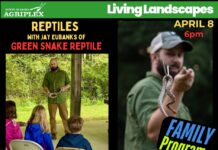 Reptile Adventure class brings live animal experience to Cullman April 8