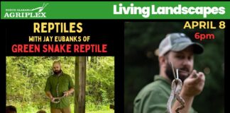 Reptile Adventure class brings live animal experience to Cullman April 8