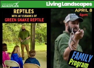 Reptile Adventure class brings live animal experience to Cullman April 8