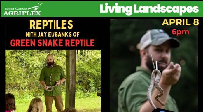 Reptile Adventure class brings live animal experience to Cullman April 8