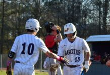 PREP BASEBALL: Fairview drops midweek matchup with Albertville