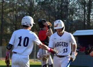 PREP BASEBALL: Fairview drops midweek matchup with Albertville