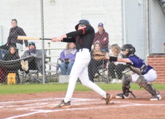 PREP BASEBALL: Good Hope downs Danville 8-1 in area opener