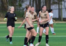 PREP SOCCER: Cullman collects area wins over Jasper