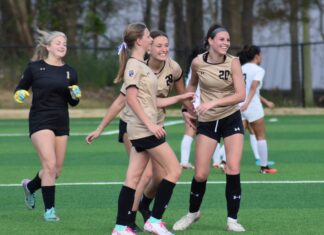 PREP SOCCER: Cullman collects area wins over Jasper
