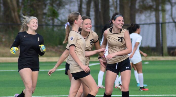 PREP SOCCER: Cullman collects area wins over Jasper