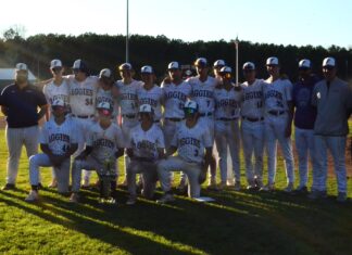 COUNTY TOURNAMENT: Fairview claims county championship with 3-2 win over West Point