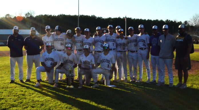 COUNTY TOURNAMENT: Fairview claims county championship with 3-2 win over West Point