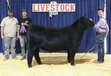 Local youth win awards at state livestock shows