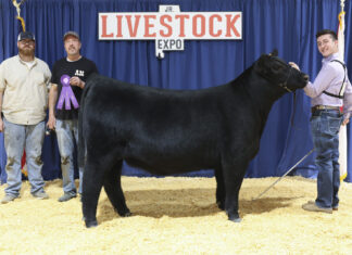 Local youth win awards at state livestock shows