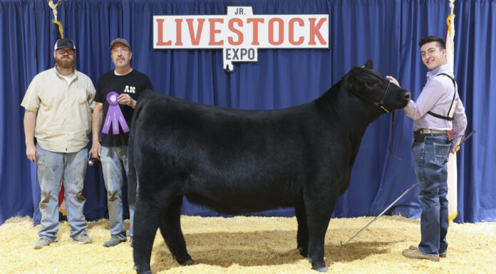 Local youth win awards at state livestock shows