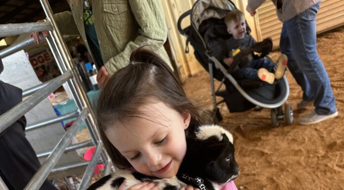 Small Business Easter Market sees success