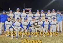 PREP BASEBALL: Addison wins Winston County Tournament