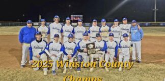 PREP BASEBALL: Addison wins Winston County Tournament