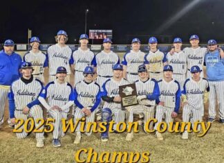 PREP BASEBALL: Addison wins Winston County Tournament