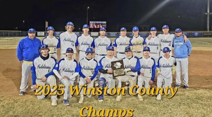 PREP BASEBALL: Addison wins Winston County Tournament