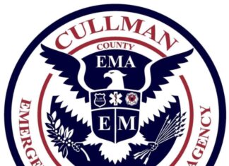 Cullman County sees little damage during statewide storms