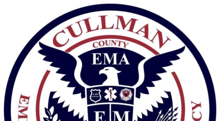 Cullman County sees little damage during statewide storms