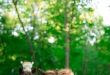 Snead’s Farmhouse shifts focus