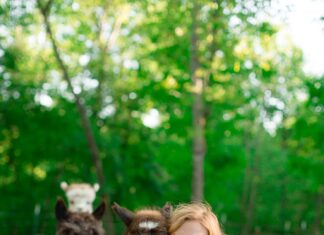 Snead’s Farmhouse shifts focus