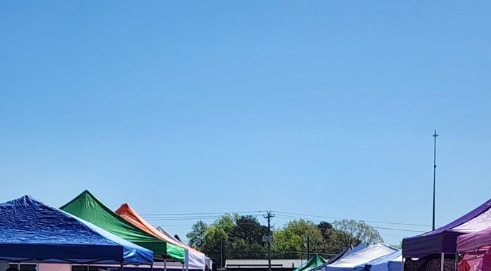 Cullman Family Expo coming April 5