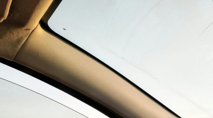 ALEA: ‘Think Smart Before You Start Spring Break’