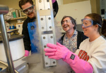 AU: Developing high-performing genetic lines and hybrids for the catfish industry