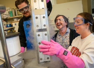 AU: Developing high-performing genetic lines and hybrids for the catfish industry