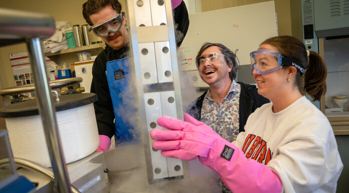 AU: Developing high-performing genetic lines and hybrids for the catfish industry