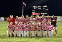 PREP SOFTBALL: Meek outlasts Addison to win area title