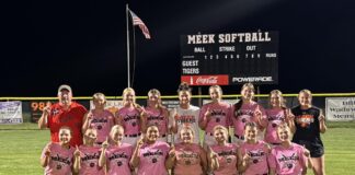 PREP SOFTBALL: Meek outlasts Addison to win area title