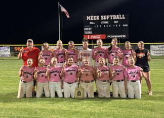 PREP SOFTBALL: Meek outlasts Addison to win area title