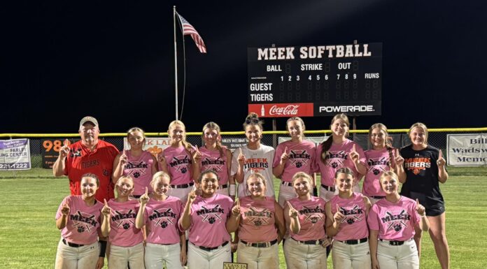 PREP SOFTBALL: Meek outlasts Addison to win area title