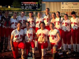 PREP SOFTBALL: A team-by-team guide as Cullman County softball gets underway