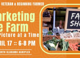 Free ‘Marketing the Farm’ workshop for beginning farmers and veterans April 17